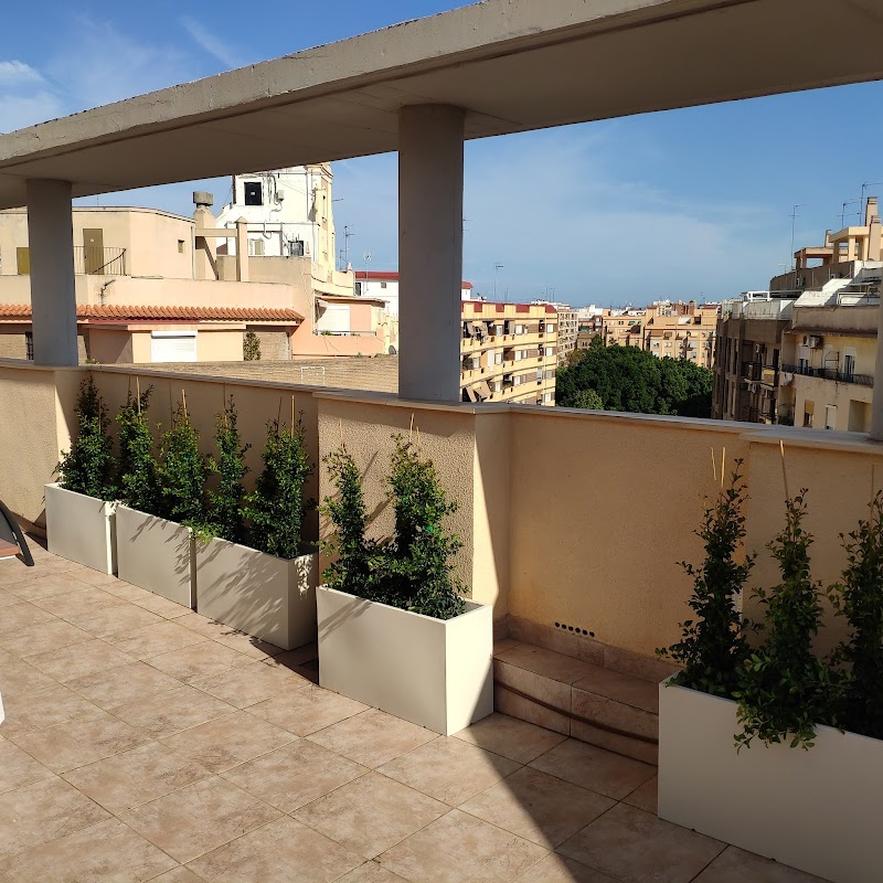 Imagen de Plantesdecor. Paisajismo y Jardinería. Diseñamos Tu Jardín en Valencia