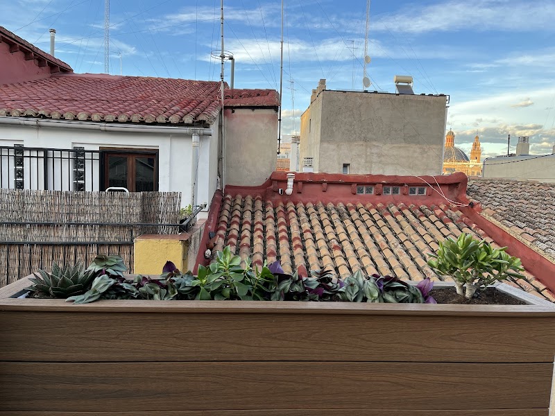 Imagen de Plantesdecor. Paisajismo y Jardinería. Diseñamos Tu Jardín en Valencia