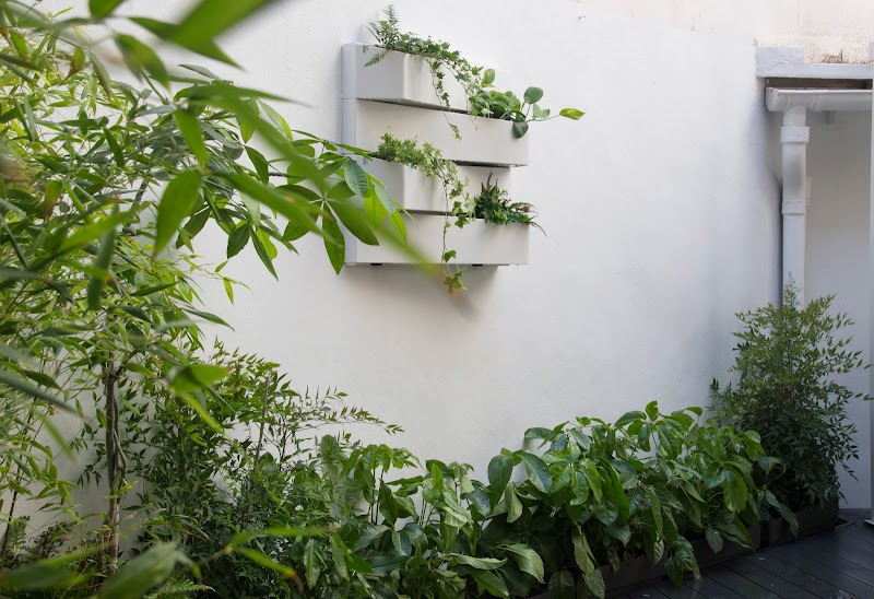 Imagen de Plantesdecor. Paisajismo y Jardinería. Diseñamos Tu Jardín en Valencia