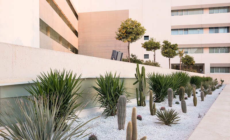 Imagen de Plantesdecor. Paisajismo y Jardinería. Diseñamos Tu Jardín en Valencia