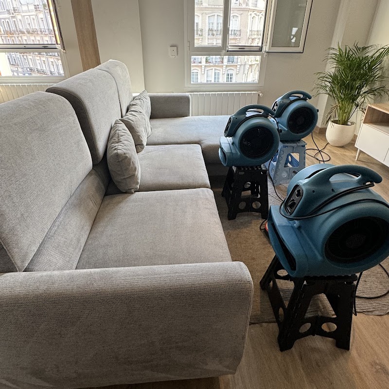 Imagen de Cleaning Family Service , Limpieza Detallada de Sofás , Hogares , Fin de Obra