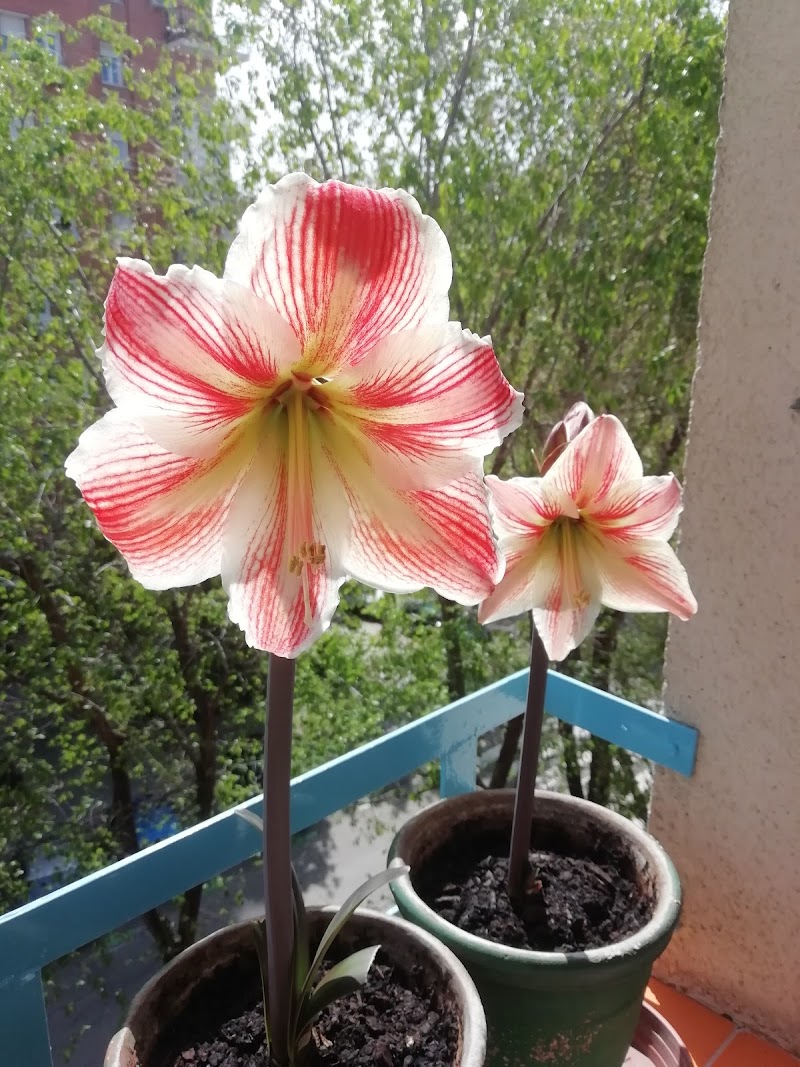 Imagen representativa de la localización