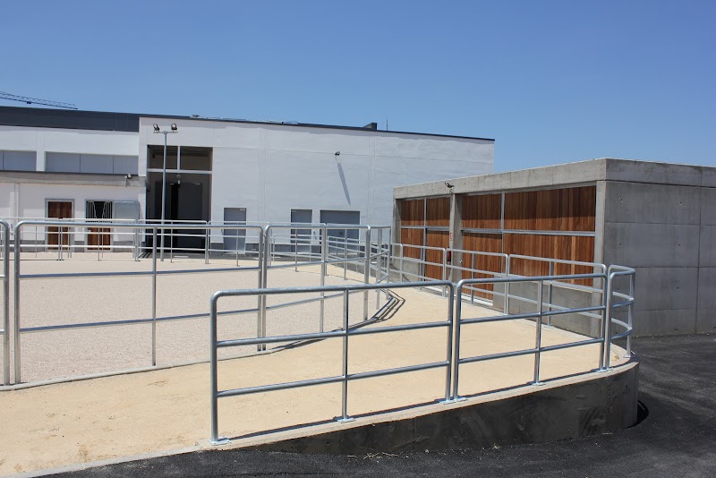 Imagen de Hospital Clínico Veterinario Ceu Uch