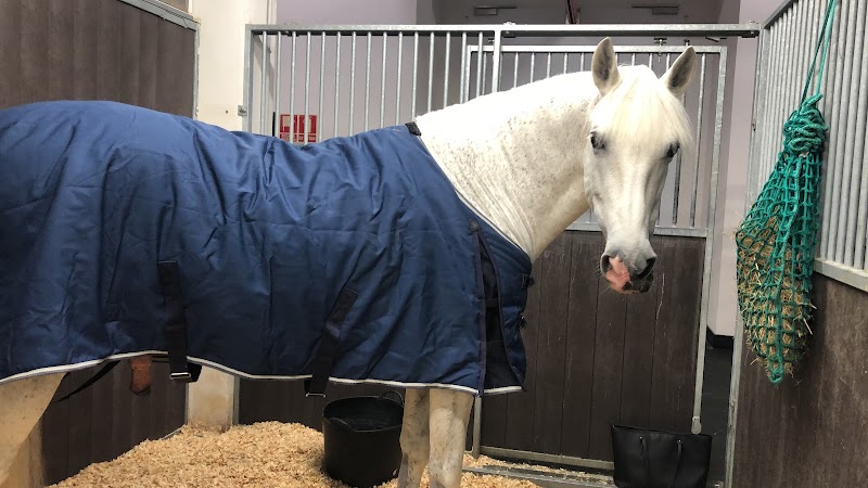 Imagen de Hospital Clínico Veterinario Ceu Uch