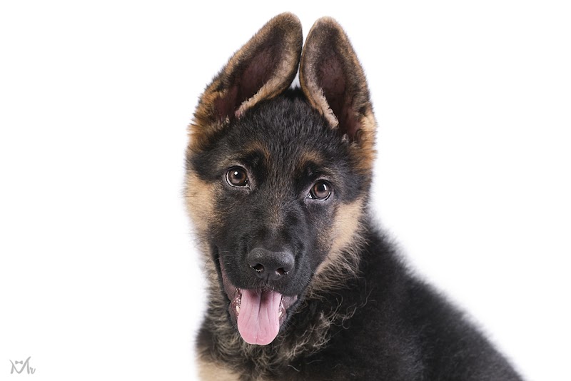 Imagen de Miguel Romero Fotografía