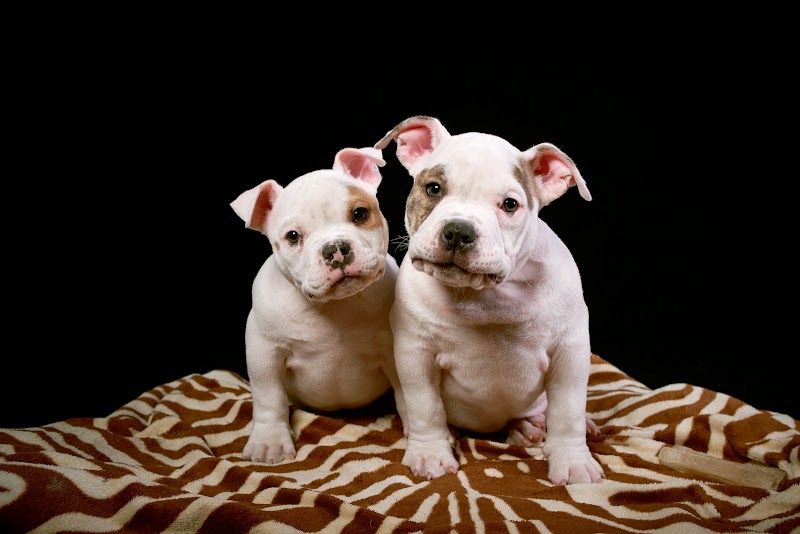 Imagen de Miguel Romero Fotografía