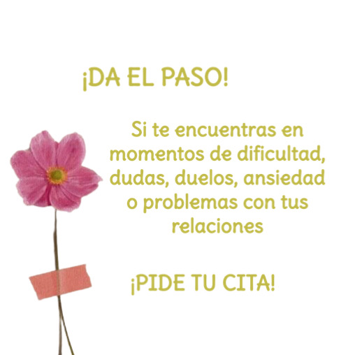 Imagen de Terapia Noelia Ortells