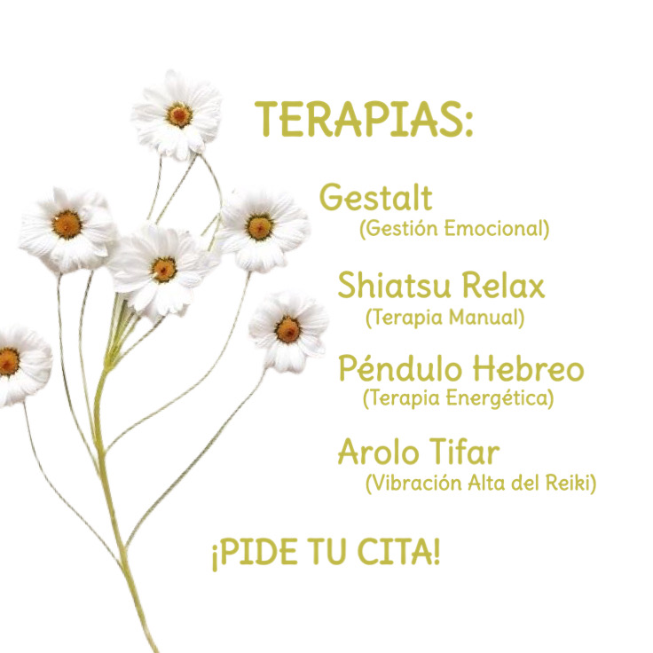 Imagen de Terapia Noelia Ortells