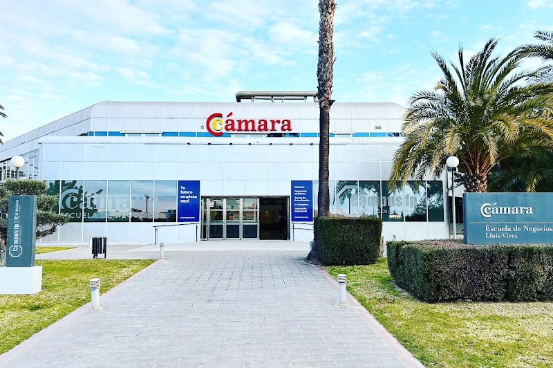 Imagen de Traducción Simultánea, Presencial y Online | Va Traducción