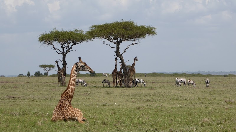Imagen de Saó Viajes Naturales