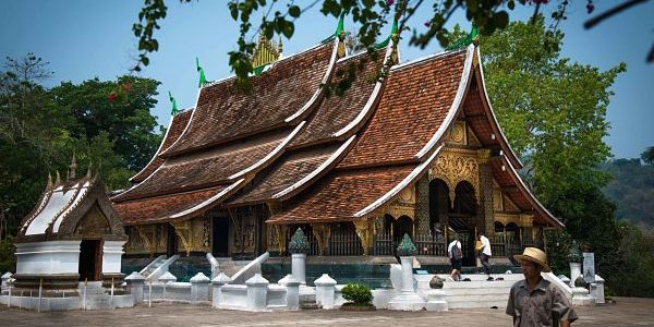 Imagen de Saó Viajes Naturales