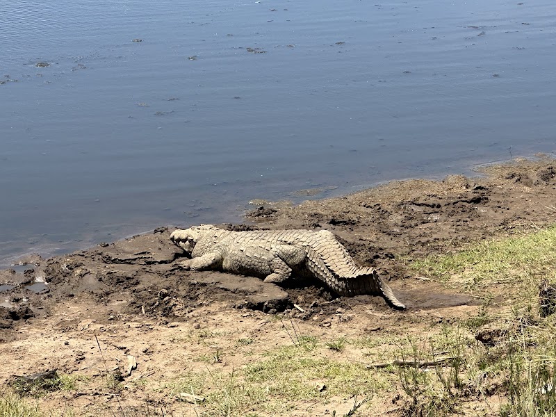 Imagen de Saó Viajes Naturales