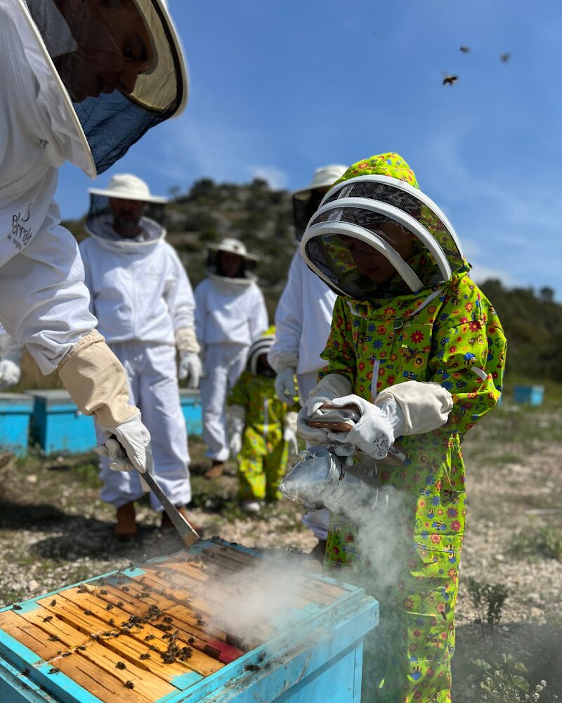 Imagen de Saó Viajes Naturales
