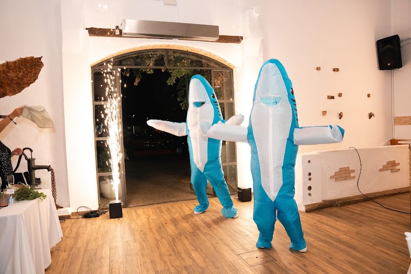 Imagen de Filmem Productora Audiovisual – Vídeos de Boda en Valencia