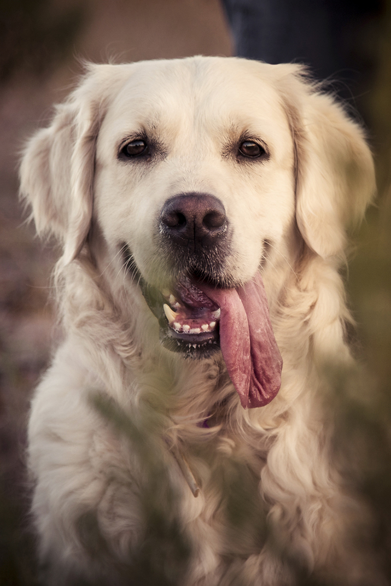 Imagen de Guillermo Bana | Fotógrafo y Videógrafo