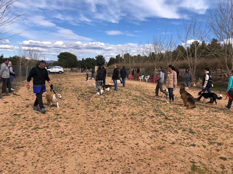 Imagen de Gdog.trainerpro