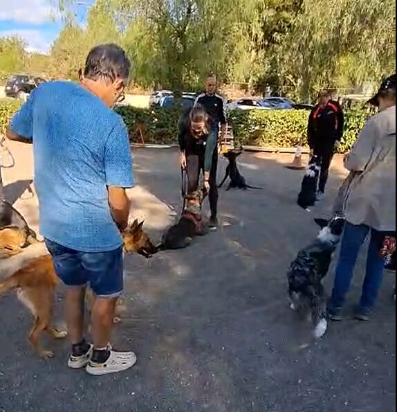 Imagen de Gdog.trainerpro