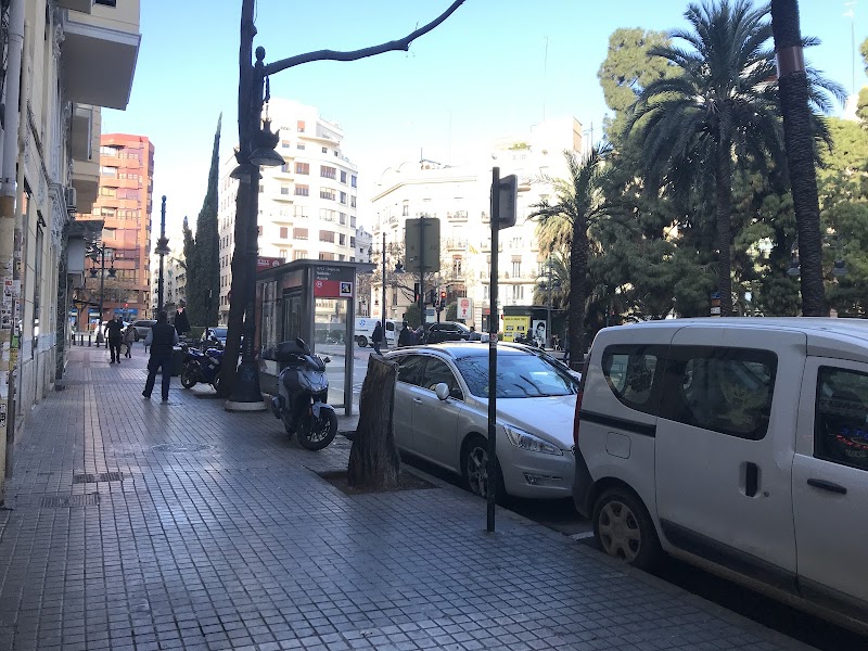 Imagen de Dra. Sofia Lucas, Dermatólogo