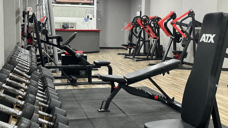 Imagen de Evolution Gym