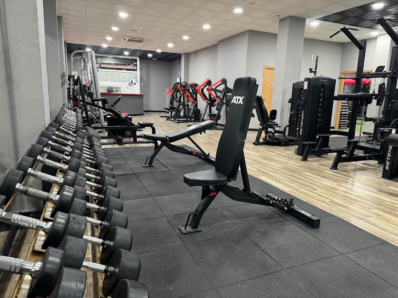 Imagen de Evolution Gym