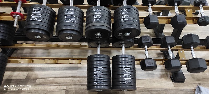 Imagen de Evolution Gym