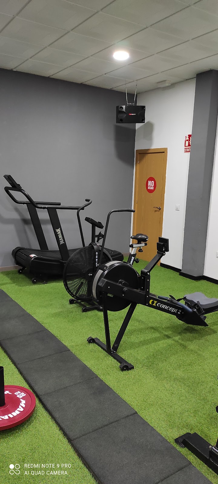 Imagen de Evolution Gym