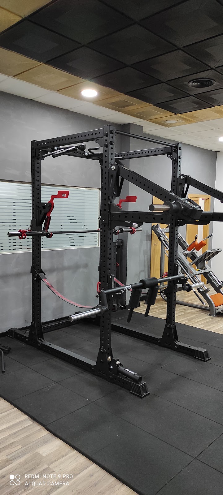 Imagen de Evolution Gym