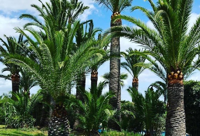 Imagen de La Albufera – Jardinero Valencia