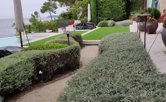Imagen de La Albufera – Jardinero Valencia