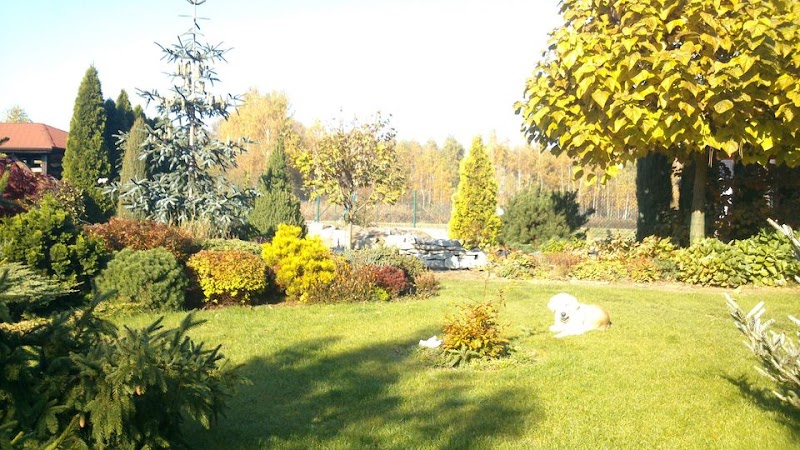 Imagen de La Albufera – Jardinero Valencia