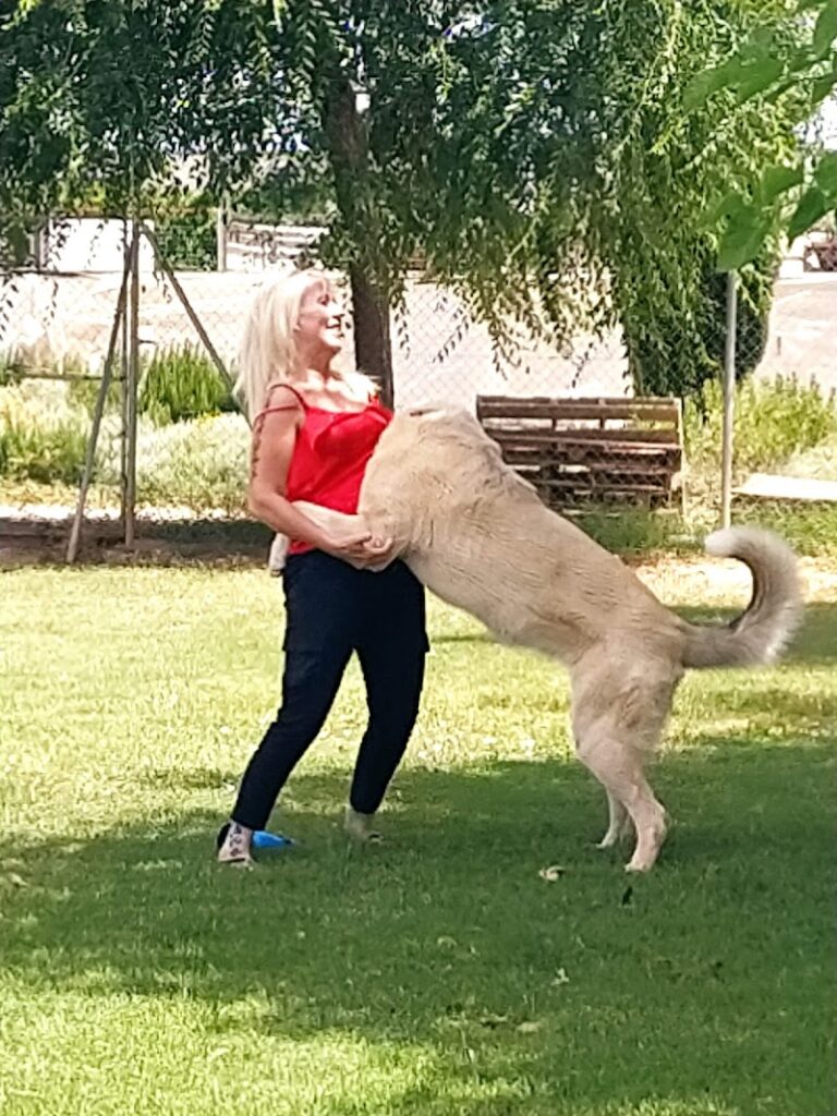 Imagen de Modepran Carlet