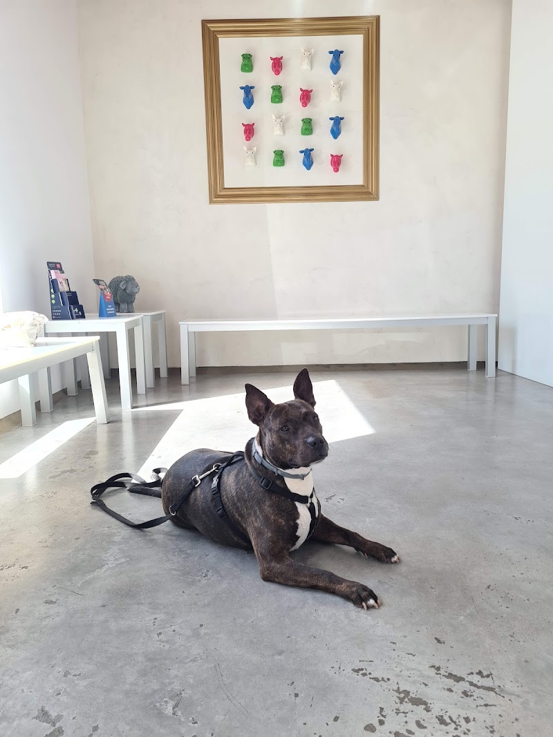 Imagen de Hospital Veterinario Les Alfàbegues