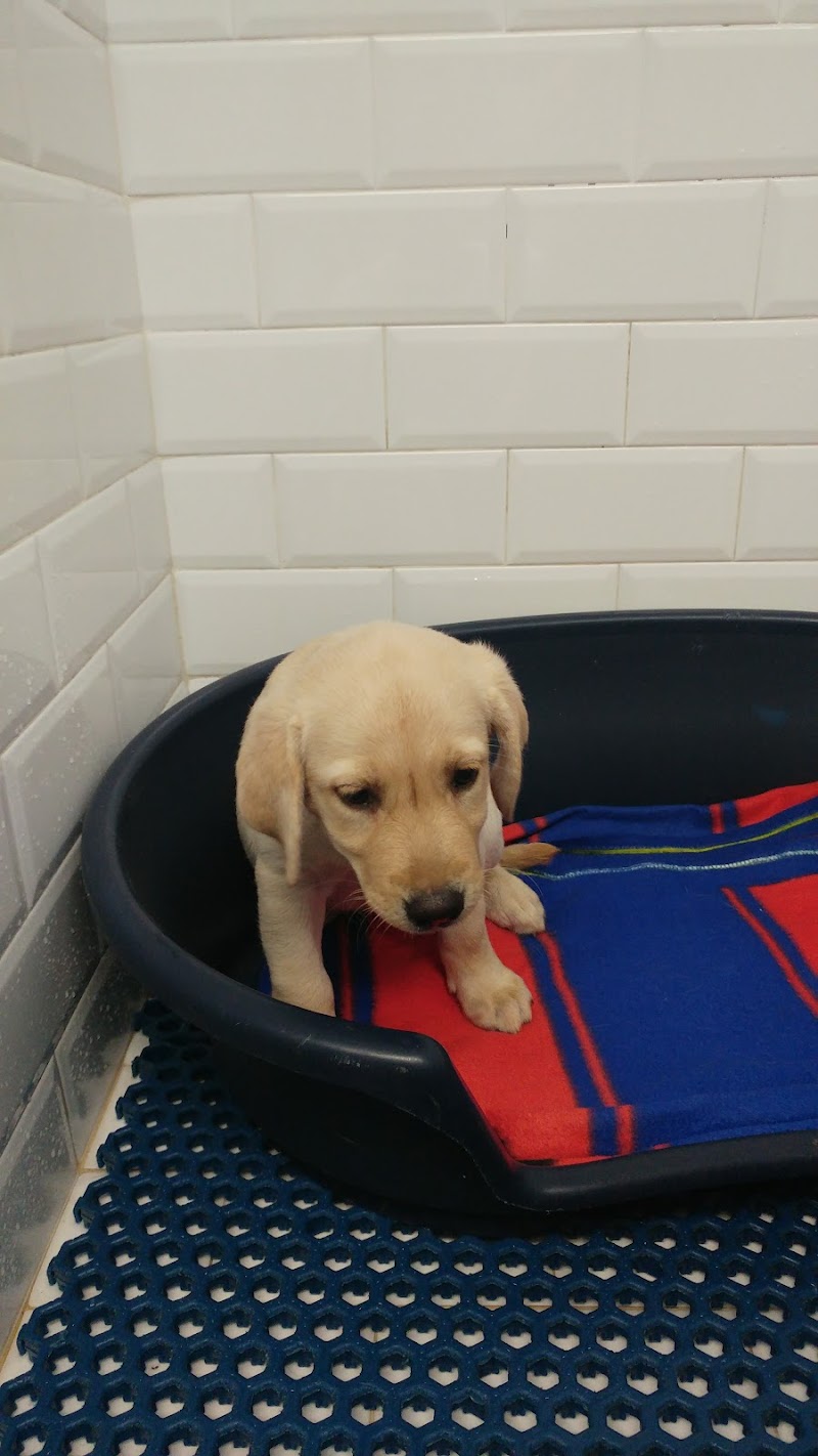 Imagen de Hospital Veterinario Les Alfàbegues