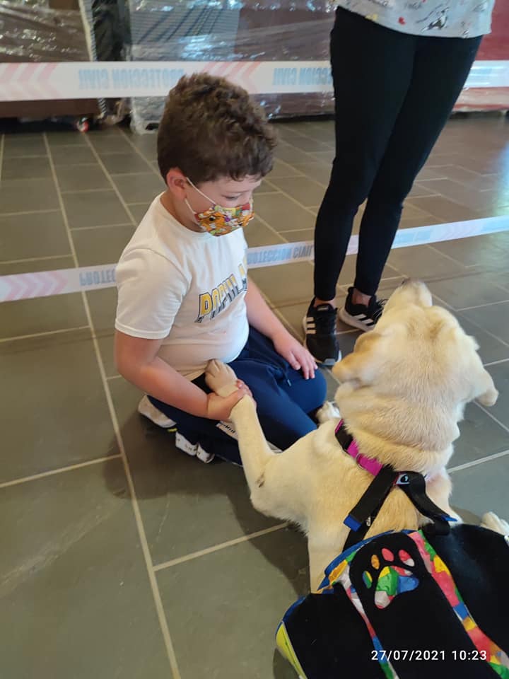 Imagen de Integradogs Valencia Educación Canina a Domicilio