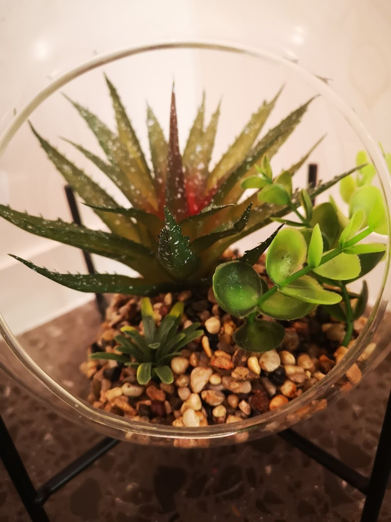 Imagen de Centro Bienestar Kamali