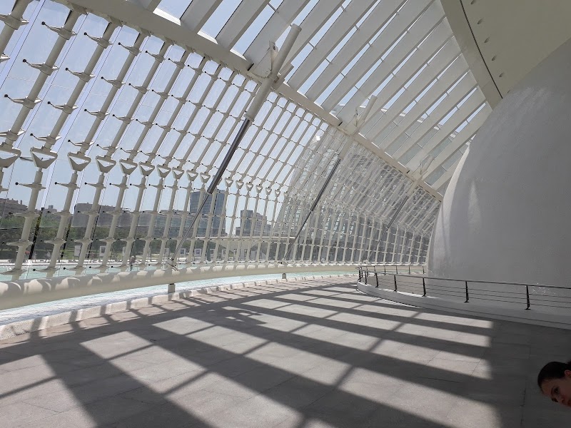 Imagen de Traductores Jurados en Valencia y Abogados Asociados