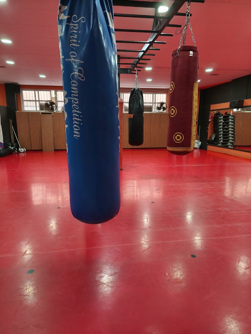 Imagen de Academia de Artes Marciales Keysi