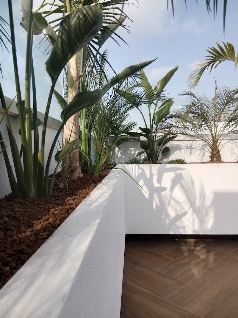 Imagen de Paisajismo en Valencia | Apical Jardín