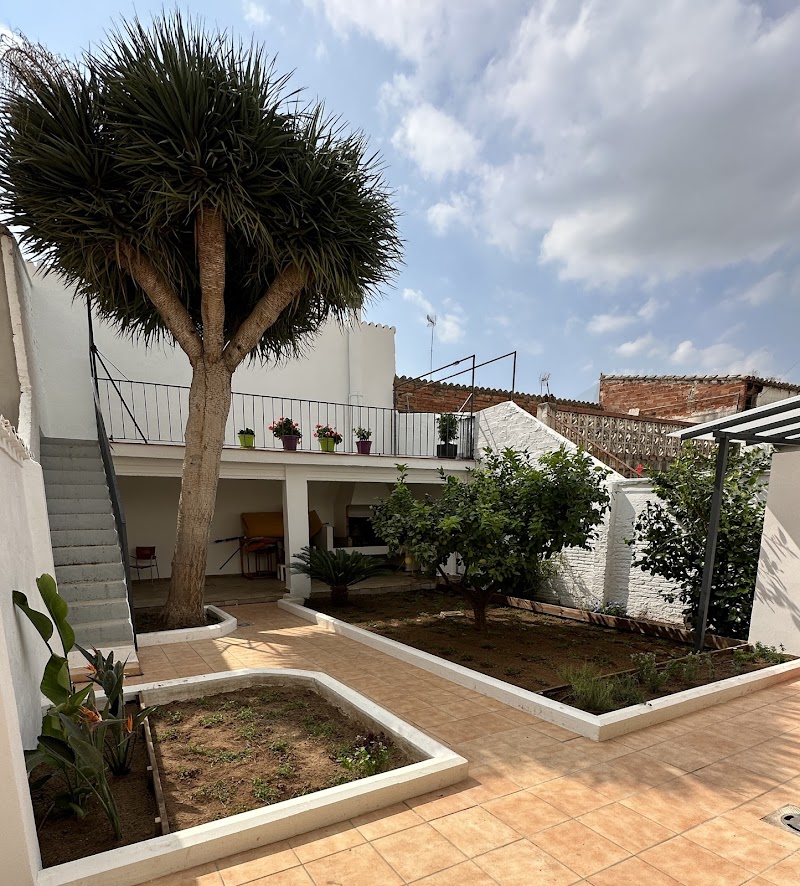 Imagen de Paisajismo en Valencia | Apical Jardín