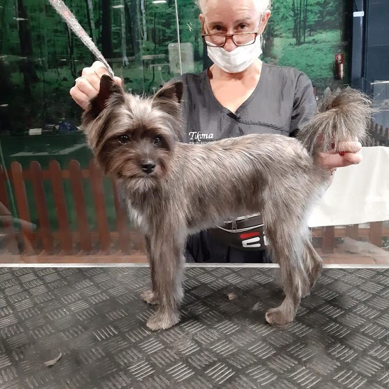 Imagen de Kuentacolas