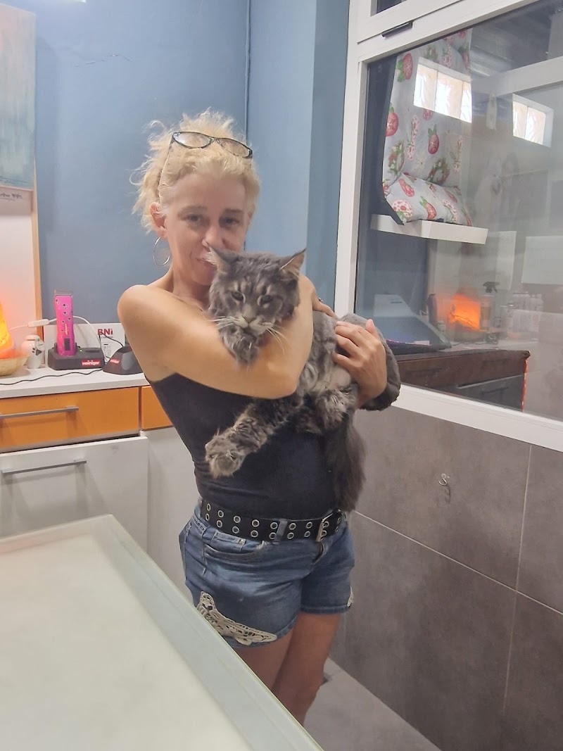 Imagen de Kuentacolas