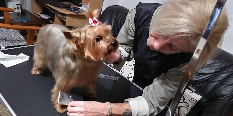 Imagen de Kuentacolas