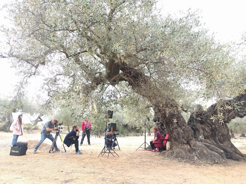 Imagen de L’andana Audiovisual – Productora Audiovisual en Valencia