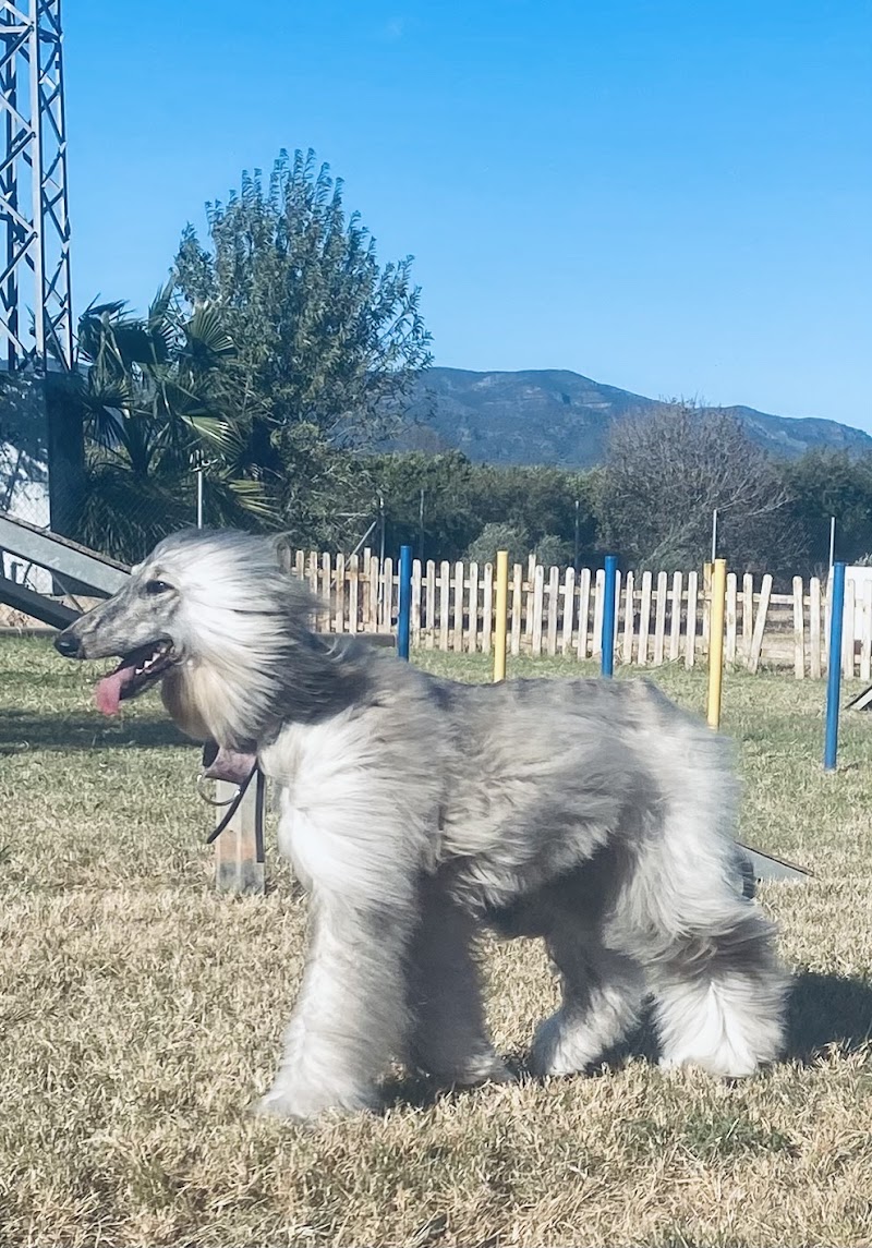 Imagen de Farma Animal, Farmacia Veterinaria