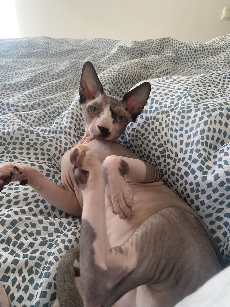 Imagen de Farma Animal, Farmacia Veterinaria