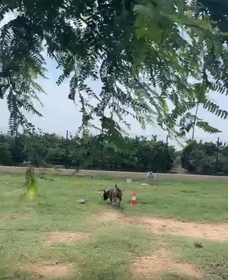 Imagen de Espaican Centro Canino Valencia