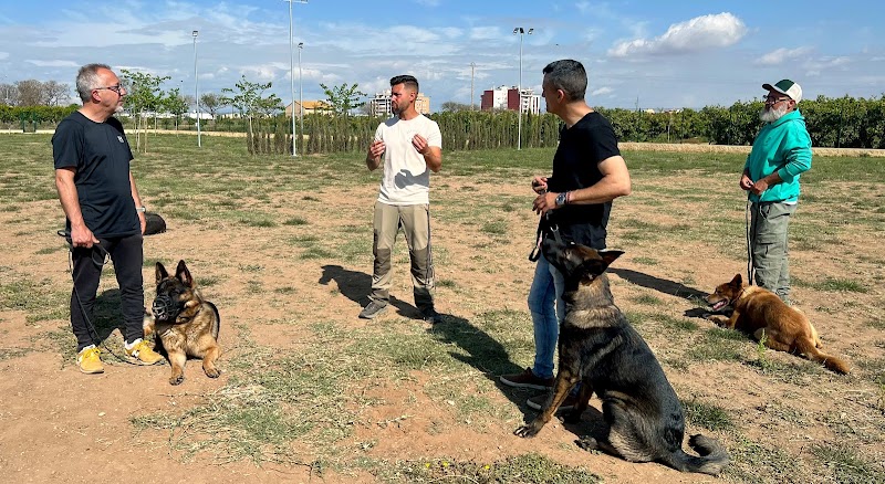 Imagen de Espaican Centro Canino Valencia