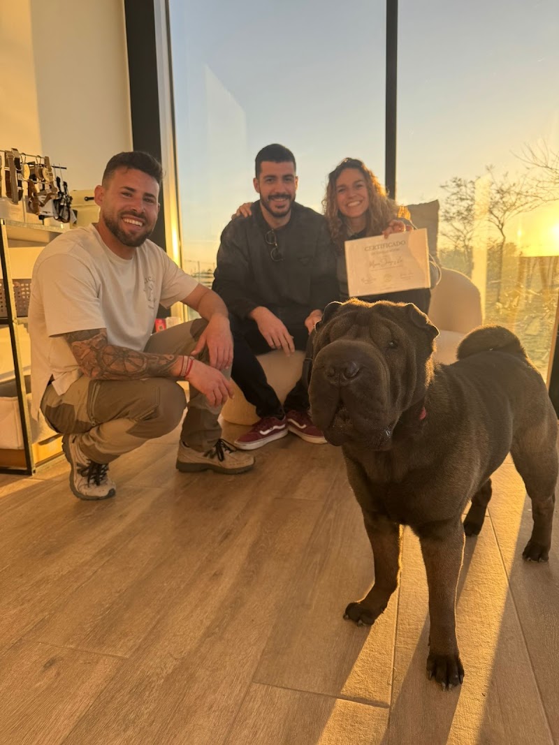 Imagen de Espaican Centro Canino Valencia