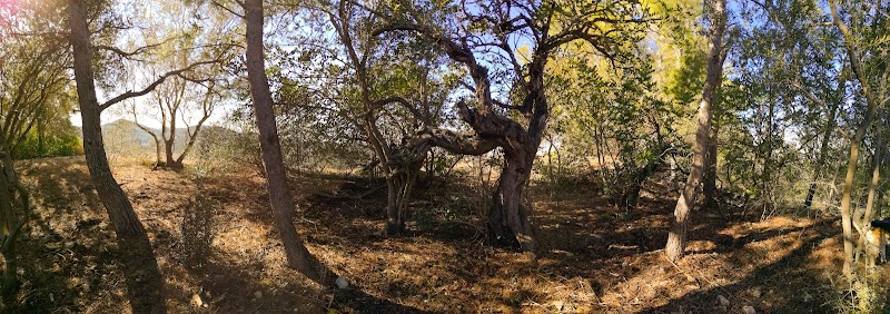 Imagen representativa de la localización