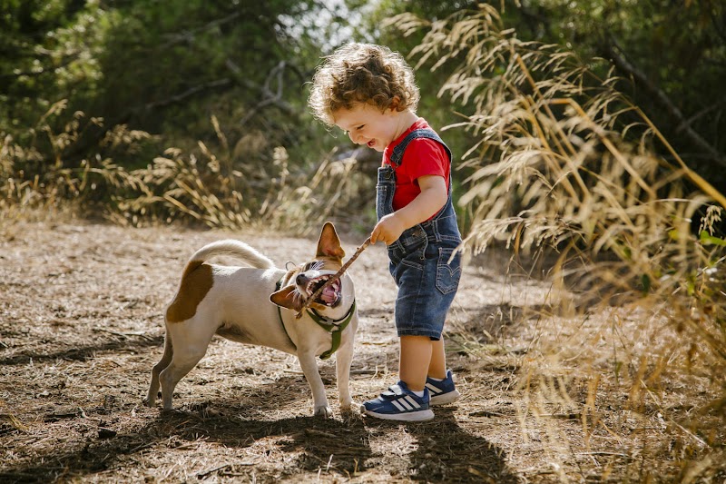 Imagen de César Guerrero – Fotógrafo de Bodas
